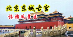 老师骚B欠操真实图中国北京-东城古宫旅游风景区